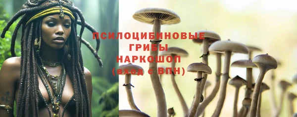 стафф Армянск
