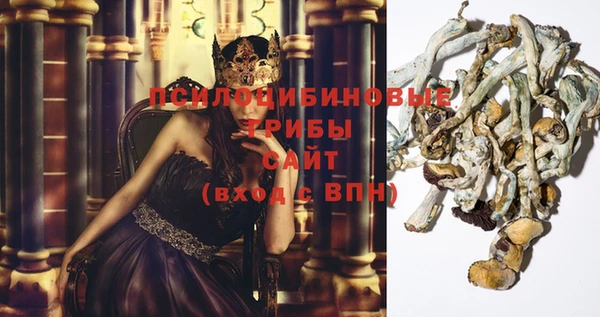 стафф Армянск