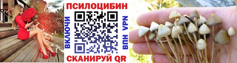 Галлюциногенные грибы мицелий  дарнет шоп  Приморско-Ахтарск 
